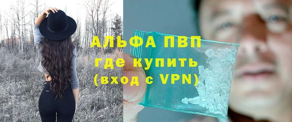 стаф Богородск