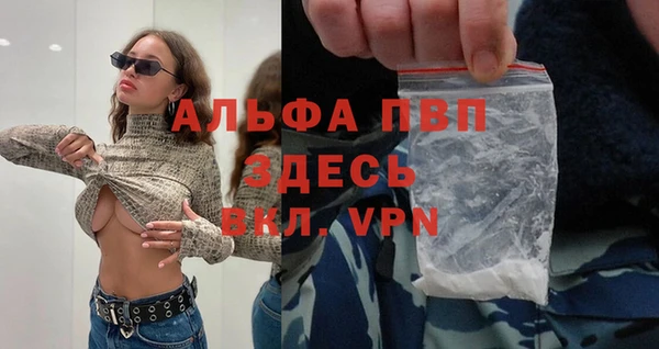 стаф Богородск