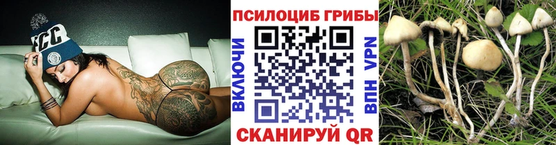 наркошоп  MEGA вход  Галлюциногенные грибы ЛСД  Верхнеуральск 